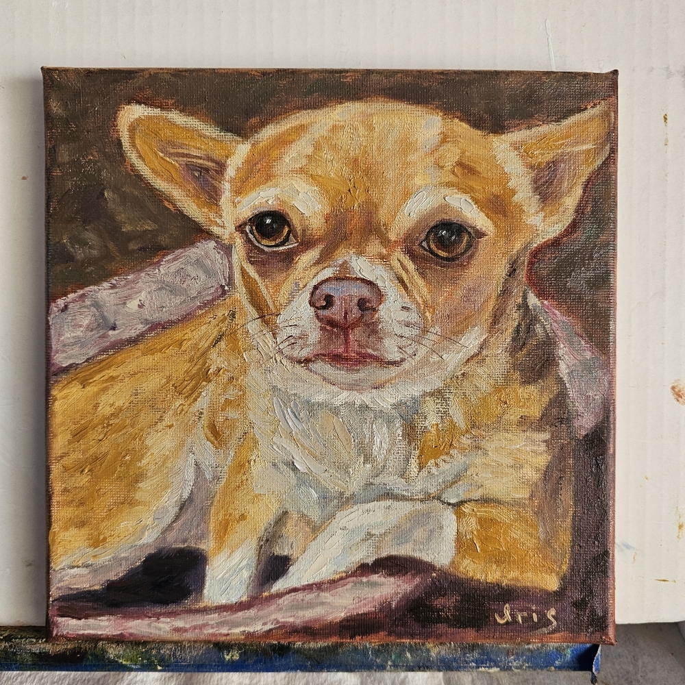 Original Hand-Painted Oil Portrait – Chihuahua Dog Art, 8x8 Canvas